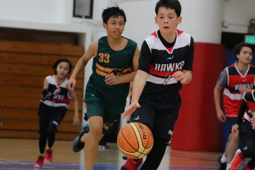 impact basketball