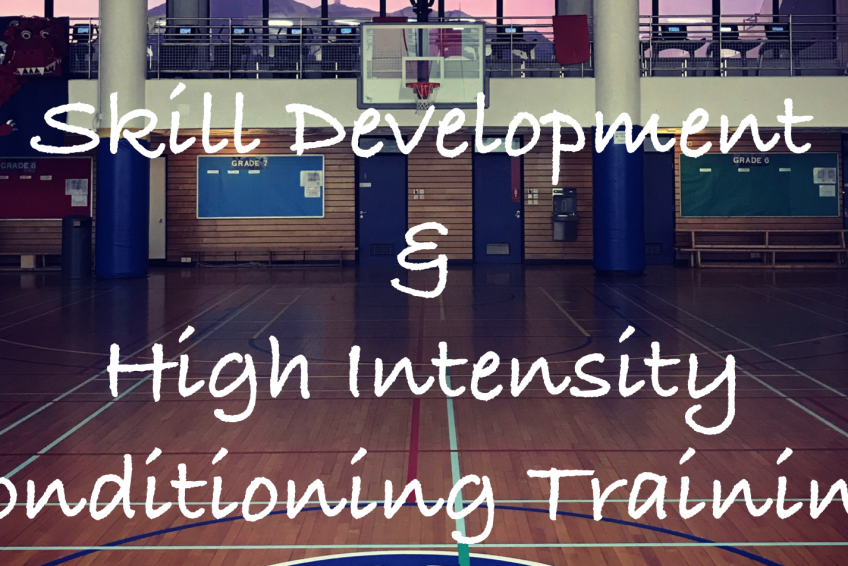 impact elite program
